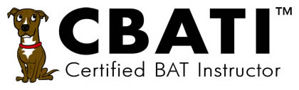 CBATI-color-logo-medium