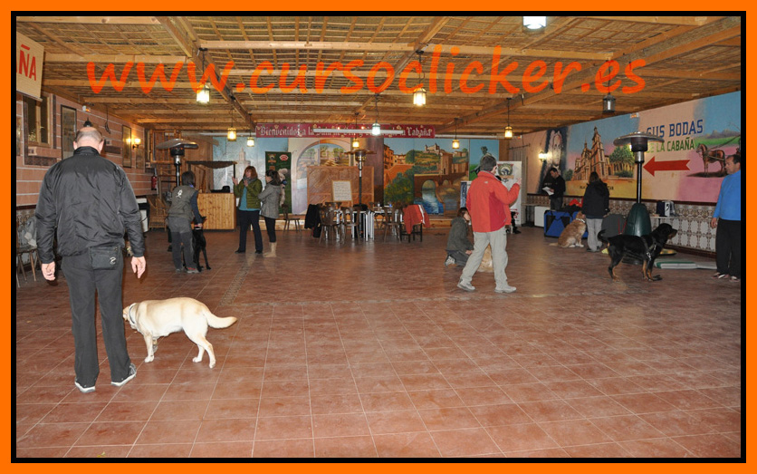primer cap3 espaa enero 2012learning about dogs y www.cursoclicker.es con helen phillips029
