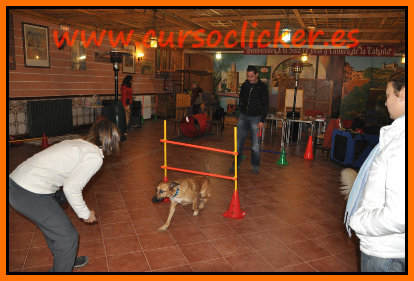 primer cap3 espaa enero 2012learning about dogs y www.cursoclicker.es con helen phillips058