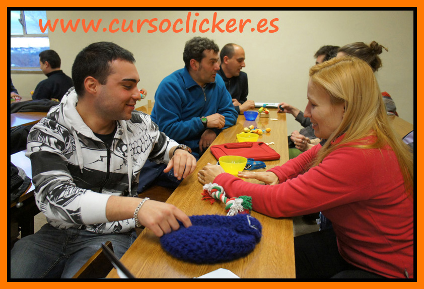 eactc curso 2011-2012 ucm cursos de clicker sistema cap www.cursoclicker.es 014 jpg 